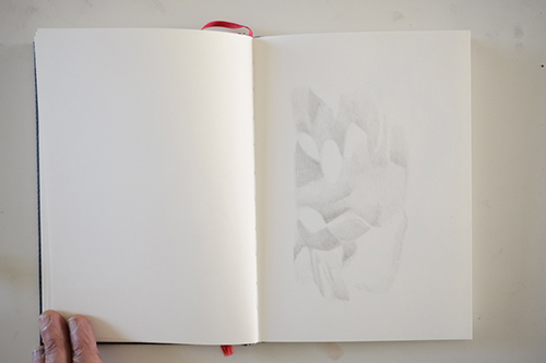 carnets | carnet-proteines | &copy; patrice de Santa Coloma
