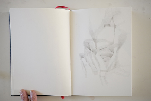 carnets | carnet-proteines | &copy; patrice de Santa Coloma