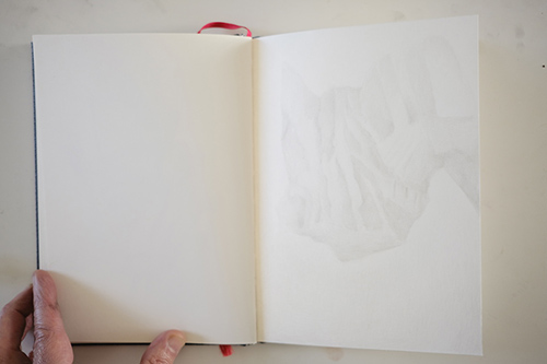carnets | carnet-proteines | &copy; patrice de Santa Coloma