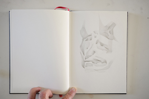 carnets | carnet-proteines | &copy; patrice de Santa Coloma