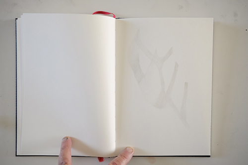 carnets | carnet-proteines | &copy; patrice de Santa Coloma
