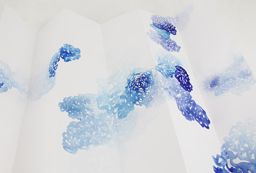 drawings | bryophytes | &copy; patrice de Santa Coloma