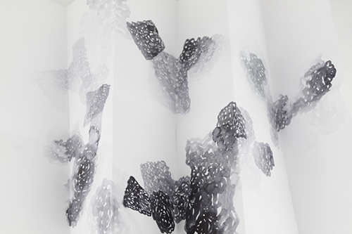drawings | bryophytes | &copy; patrice de Santa Coloma