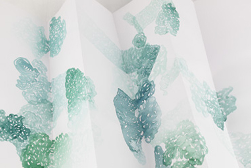 drawings | bryophytes | &copy; patrice de Santa Coloma