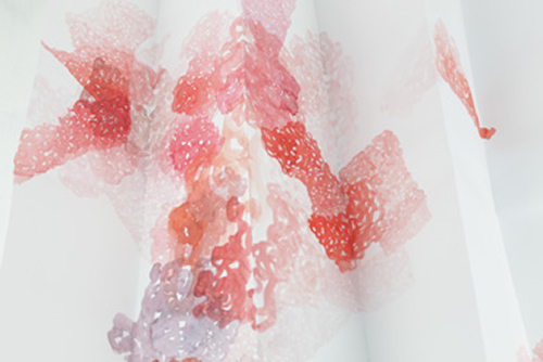 drawings | bryophytes | &copy; patrice de Santa Coloma