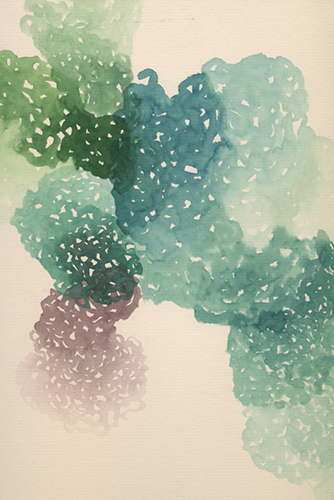drawings | bryophytes | &copy; patrice de Santa Coloma