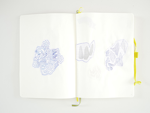 drawings | cristae | &copy; patrice de Santa Coloma