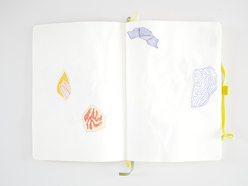 drawings | cristae | &copy; patrice de Santa Coloma