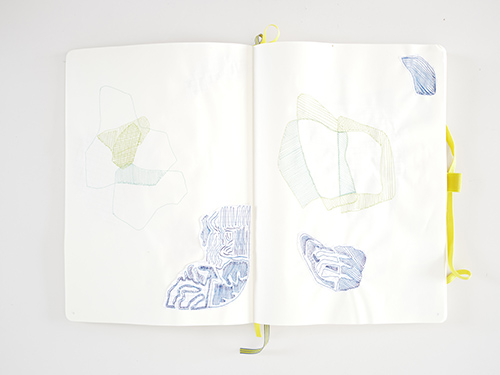 drawings | cristae | &copy; patrice de Santa Coloma