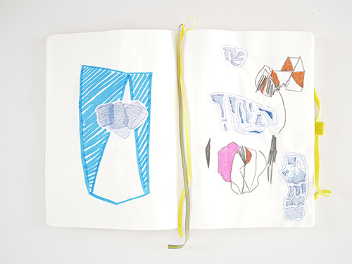 drawings | cristae | &copy; patrice de Santa Coloma