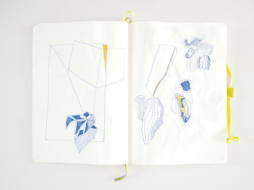 drawings | cristae | &copy; patrice de Santa Coloma