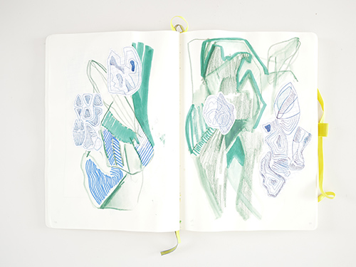 drawings | cristae | &copy; patrice de Santa Coloma
