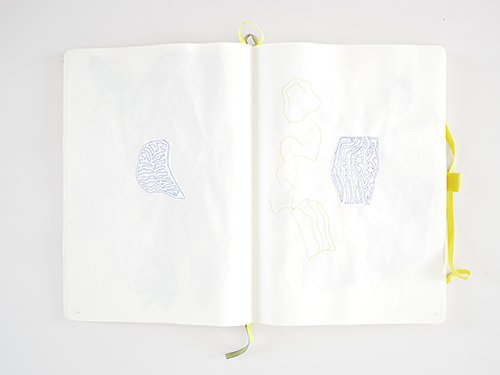 drawings | cristae | &copy; patrice de Santa Coloma