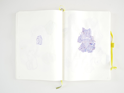 drawings | cristae | &copy; patrice de Santa Coloma