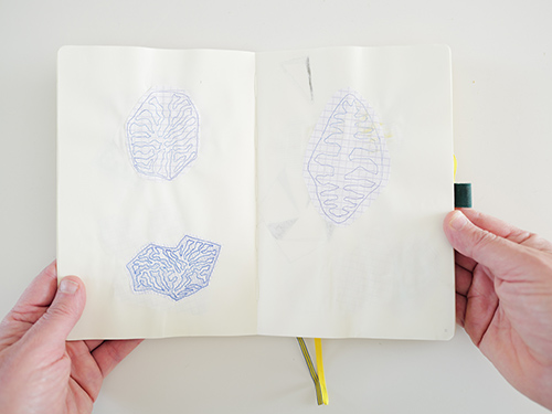 drawings | cristae | &copy; patrice de Santa Coloma