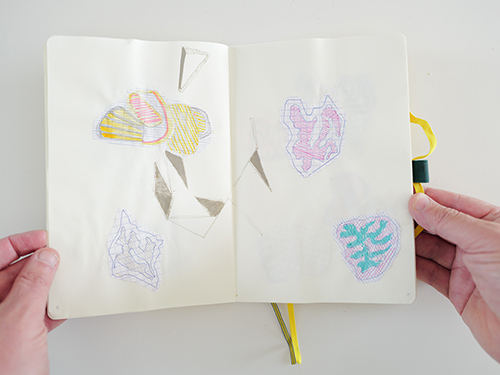 drawings | cristae | &copy; patrice de Santa Coloma