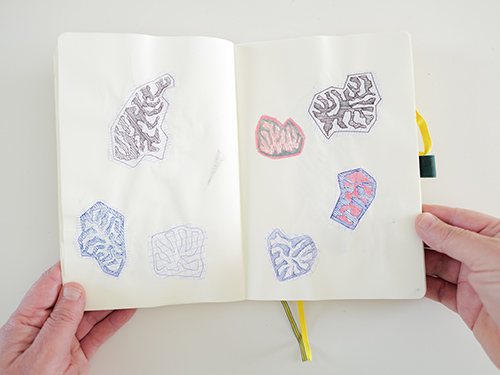 drawings | cristae | &copy; patrice de Santa Coloma