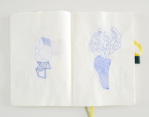 drawings | cristae | &copy; patrice de Santa Coloma