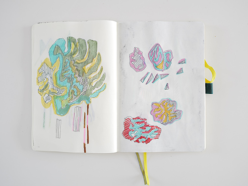 drawings | cristae | &copy; patrice de Santa Coloma