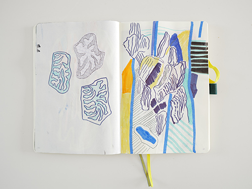 drawings | cristae | &copy; patrice de Santa Coloma
