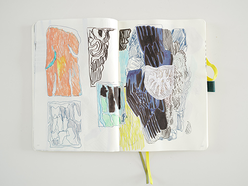 drawings | cristae | &copy; patrice de Santa Coloma