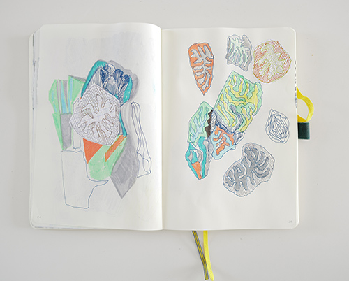 drawings | cristae | &copy; patrice de Santa Coloma