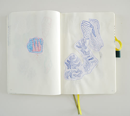 drawings | cristae | &copy; patrice de Santa Coloma