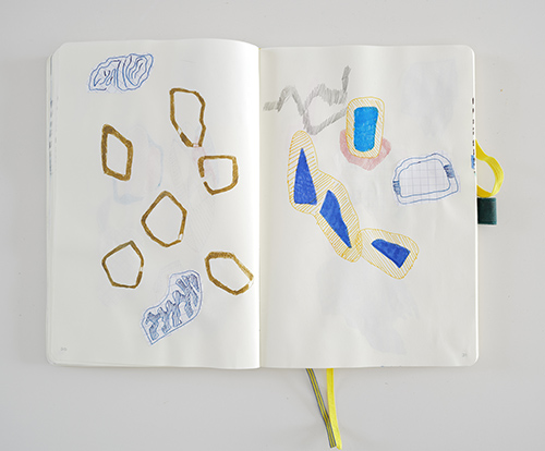 drawings | cristae | &copy; patrice de Santa Coloma