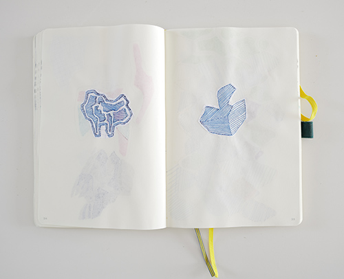drawings | cristae | &copy; patrice de Santa Coloma