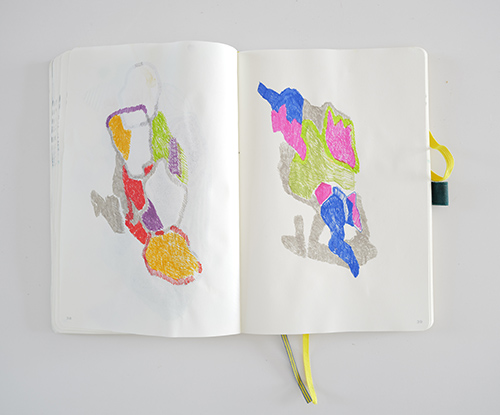 drawings | cristae | &copy; patrice de Santa Coloma
