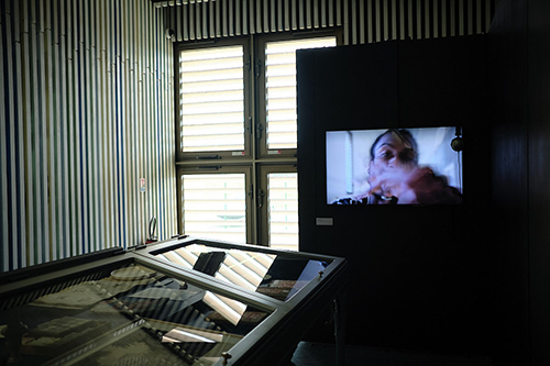 exhibitions | invincible | &copy; patrice de Santa Coloma
