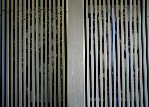 exhibitions | invincible | &copy; patrice de Santa Coloma