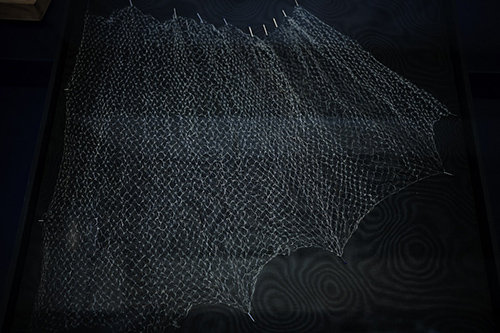 exhibitions | invincible | &copy; patrice de Santa Coloma