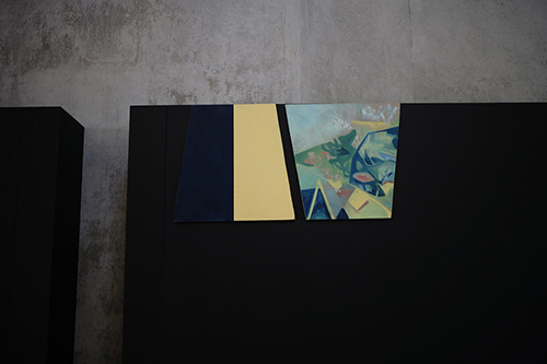 exhibitions | invincible | &copy; patrice de Santa Coloma