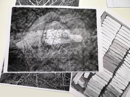 expositions | je-perds-le-nord | &copy; patrice de Santa Coloma