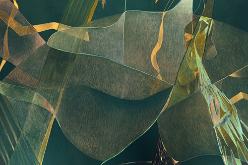 exhibitions | jungle | &copy; patrice de Santa Coloma