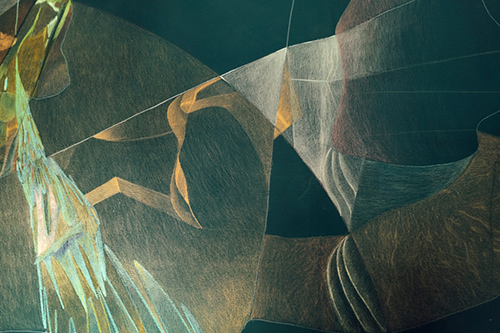 exhibitions | jungle | &copy; patrice de Santa Coloma