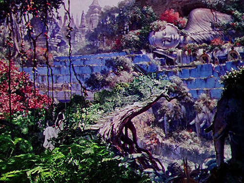 exhibitions | jungle | &copy; patrice de Santa Coloma