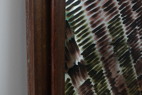 exhibitions | presents | &copy; patrice de Santa Coloma