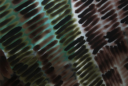 exhibitions | presents | &copy; patrice de Santa Coloma