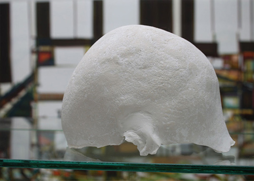 exhibitions | presents | &copy; patrice de Santa Coloma