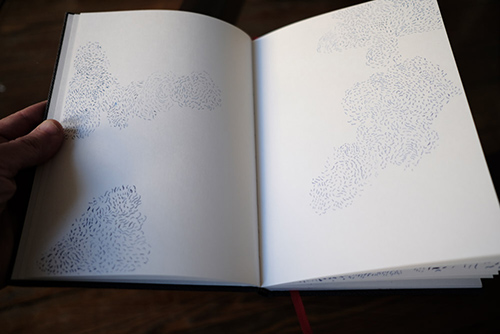 expositions | une-vie-en-pointilles | &copy; patrice de Santa Coloma