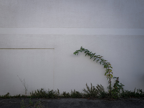photography | archambaud | &copy; patrice de Santa Coloma