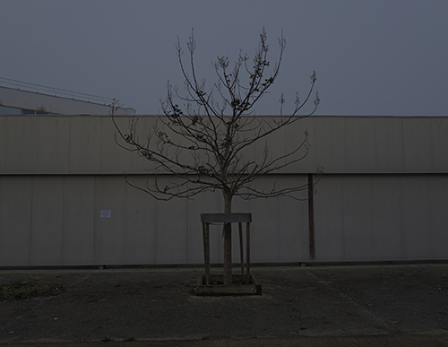 fotografia | commuting | &copy; patrice de Santa Coloma