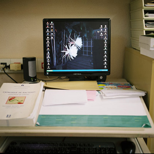 photographie | desktops | &copy; patrice de Santa Coloma
