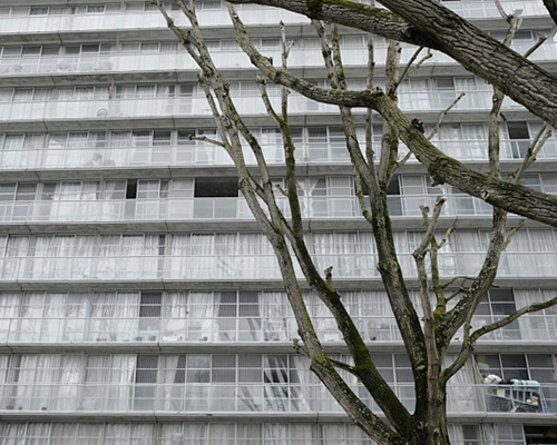 photographie | grand-parc | &copy; patrice de Santa Coloma