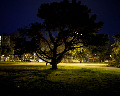 photographie | grand-parc | &copy; patrice de Santa Coloma
