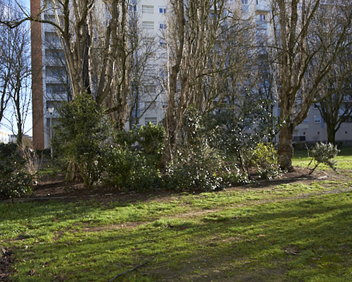 photographie | grand-parc | &copy; patrice de Santa Coloma