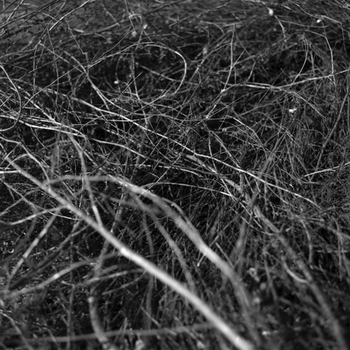 fotografia | photographies-je-perds-le-nord | &copy; patrice de Santa Coloma
