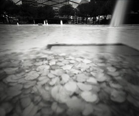 fotografia | spam | &copy; patrice de Santa Coloma
